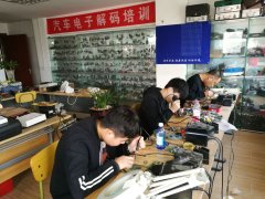 男女操鸡